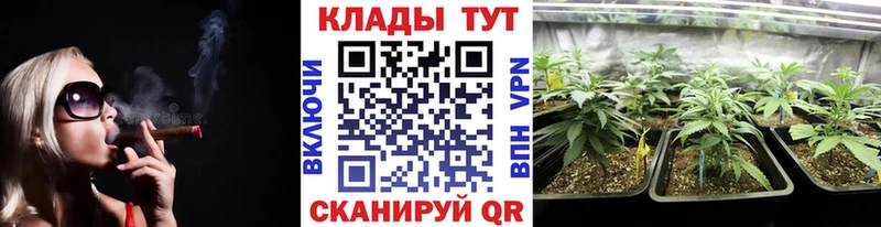 Купить закладку Туринск А ПВП МЕФ ГАШИШ Бошки Шишки