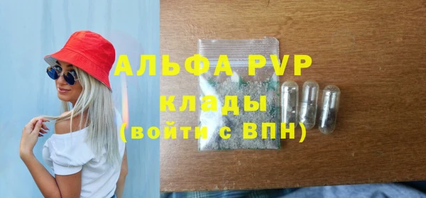 эйфоретик Осинники